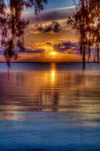 463D2D0A-6C98-4557-BE71-99D95A7DF959