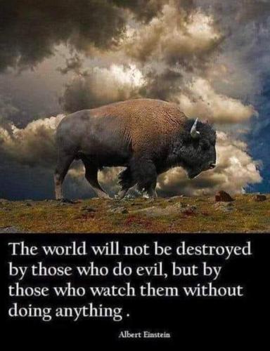 The only thing necessary for the triumph of evil is for good men to do nothing.