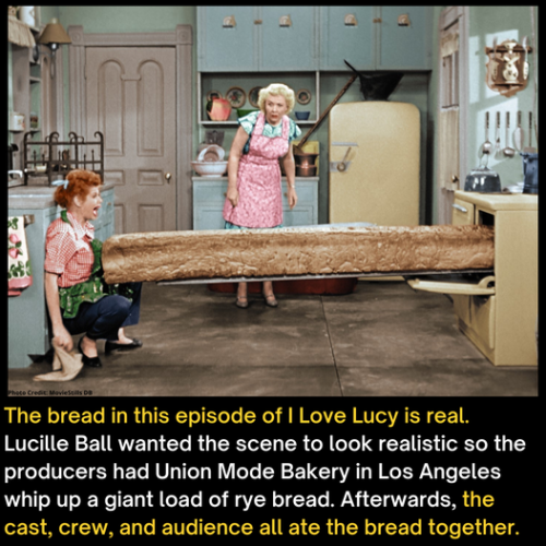 352398872_279182384496808_7422114214227732503_n