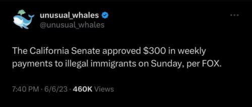 photo_2023-06-08_12-26-32