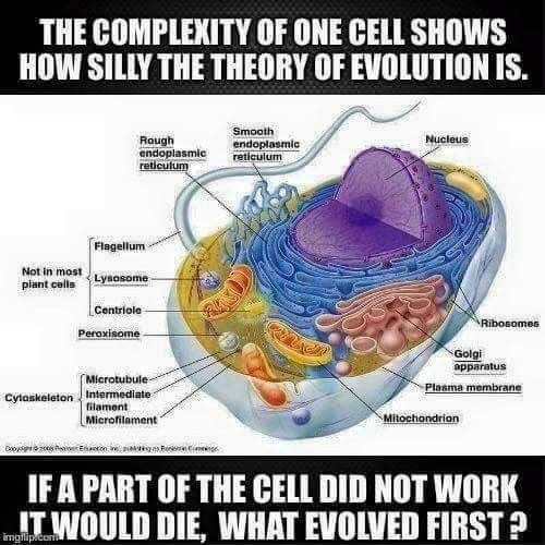 354527229_267651512586920_4357068114945701408_n