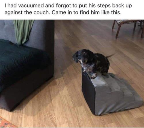 forgot to move it  back
