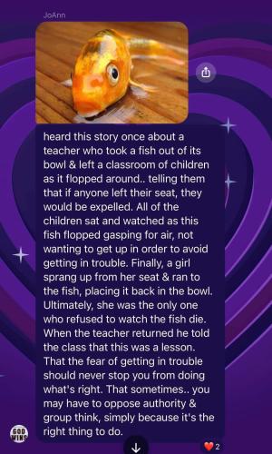 gold fish story