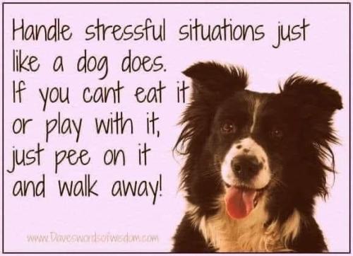 000000000000000000000000000000000000000000000000000000000000000000000000000000000000000000000000000000000000000000000000000000000000000000000000000000000000000000000000000000000000000000000000000000000hgtrdxc