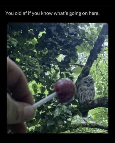 b1-347402234_310196128000569_7376337437716686966_n