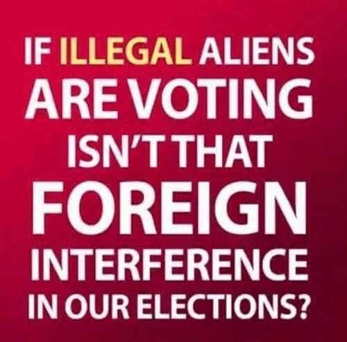 FB_IMG_1687624647066