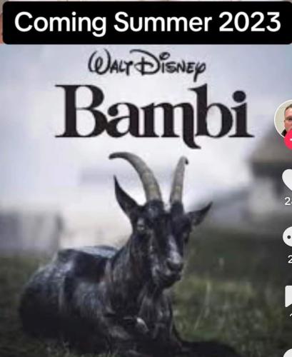 FB_IMG_1686588683427