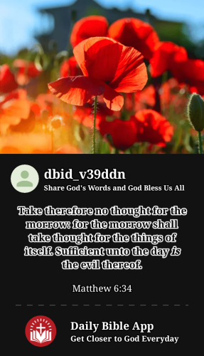 2023-06-071686196184340