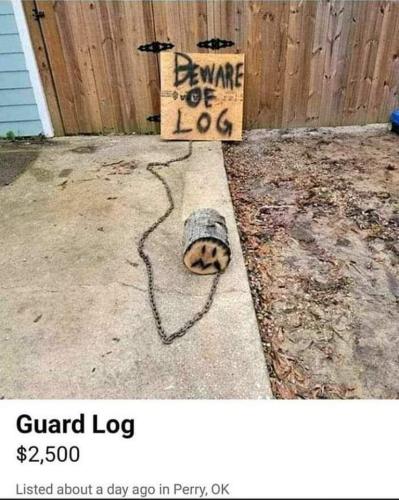 FB_IMG_1686680526955