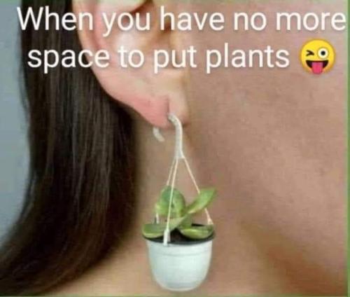 when y ou have more plants