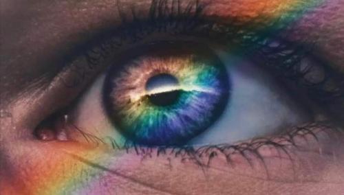 861c31a1-4b2d-4b55-a3d0-5fc24602fe35