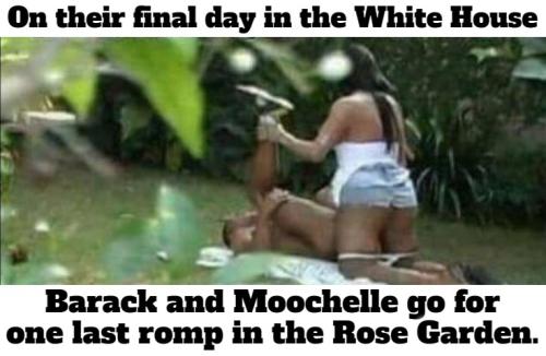 Barack and Moochelle in the rose garden