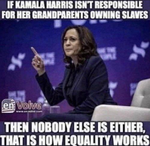 kamala harris241