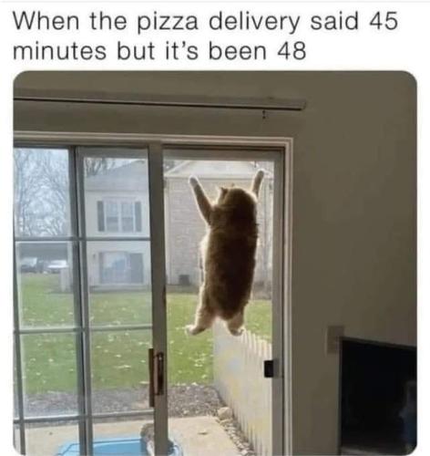 345915943_770859554576326_3286754224404664079_n