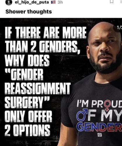 genders 2 m