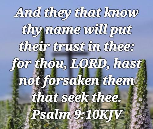 03:05:42 GMT-0700 (PDT)