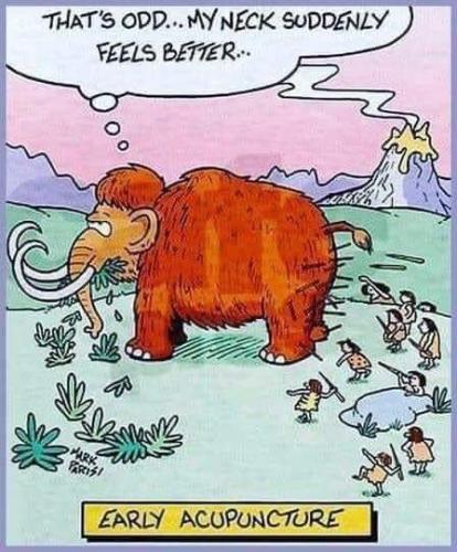 350473326_629781165871741_2310640121919865016_n