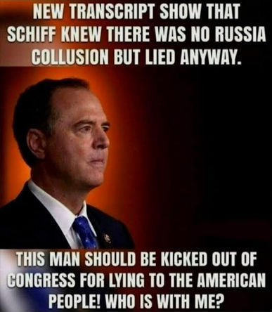schiff117