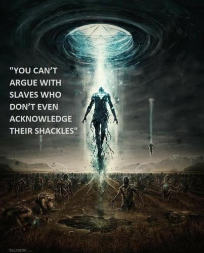 1686670345.5888991