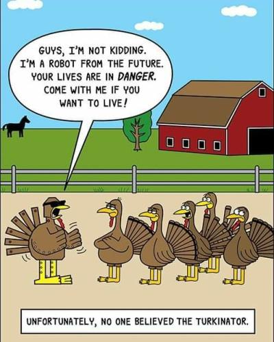 353684571_643218457825766_7535190703464407908_n