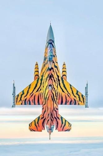 tumblr_7333caae74fd9f49ca803e46ba8dcff9_83ceeb75_500