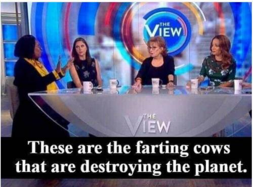 352451253_592141612987367_6042686519526327259_n