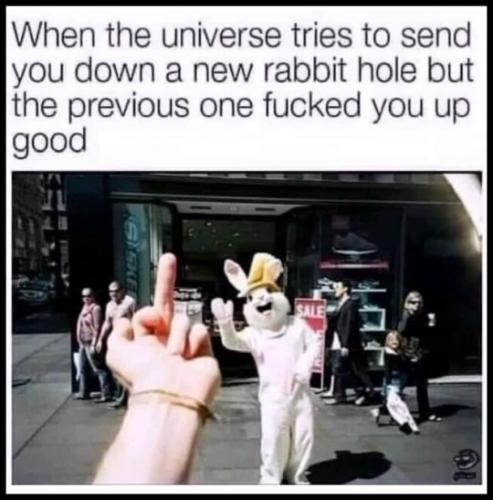 tumblr_1e1bb4864287309af88f9a163d2d4e9d_aa7b4107_540