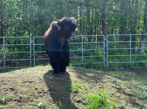 ABEB734E-F353-4573-A89F-A645F90DA89D