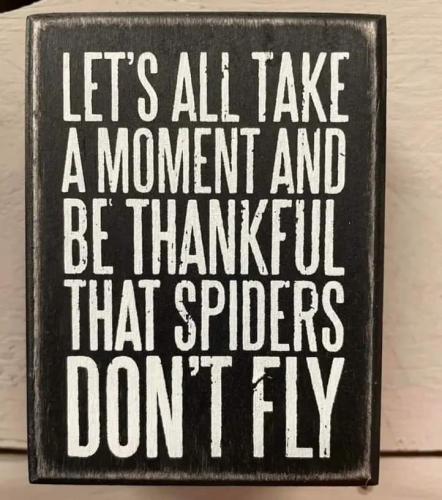 FB_IMG_1686680475275