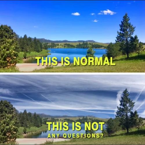 photo_2023-06-10_19-32-42