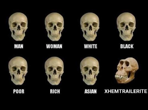 460b87ad-6634-4843-8f5d-33b5f48d89ee