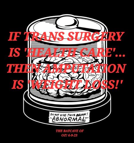 abby-normal-siti-tri-cahyani