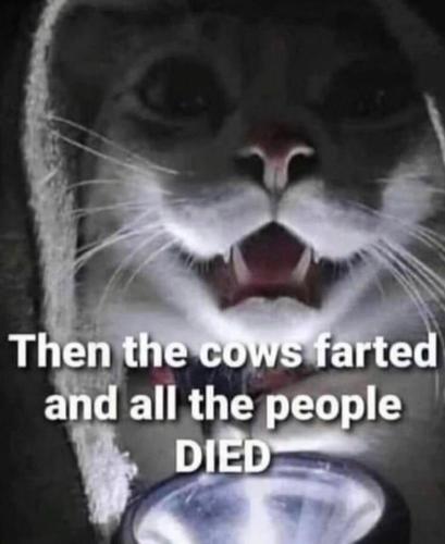 photo_2023-06-20_17-29-03