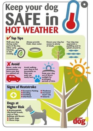 347402875_9431841483554697_7869379013818793989_n