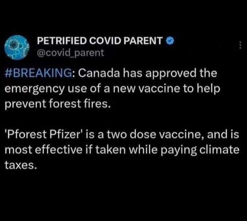 prevent forest fires