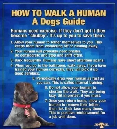 how to walk a human