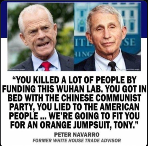 Navarro on Fauci