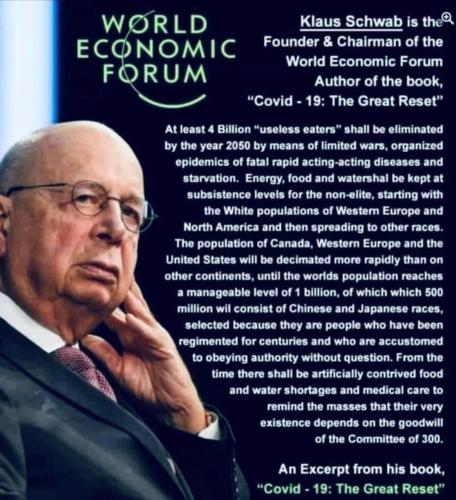 World Economic Forum's Great Reset Plan