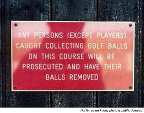 FB_IMG_1686679394836