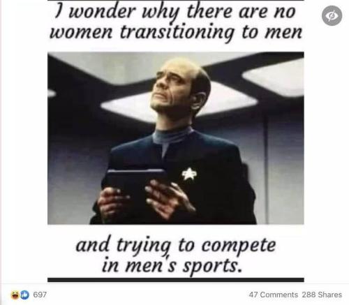 wk-27347567f4f94f3d726251ed85894dff_1024 (1)