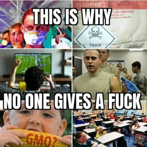 FB_IMG_1687042436509