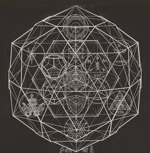 351113726_79806778834