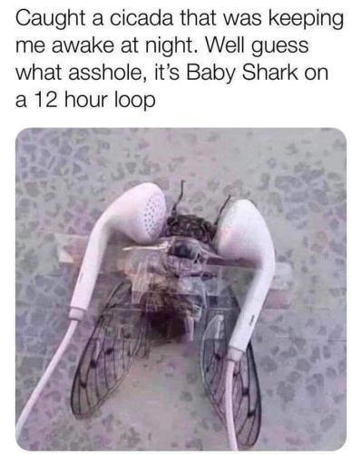 FB_IMG_1687678877610