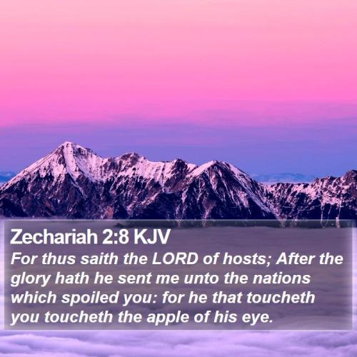 Zechariah 2_8