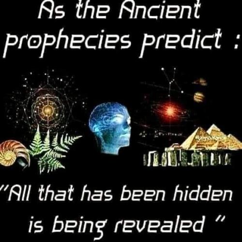 Being Revealed 1