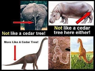 708b4898-eed8-4f7a-9626-6d234a5e6b0c