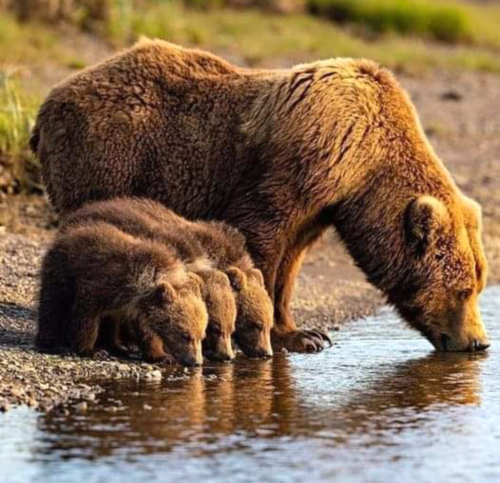 Screenshot_2023-06-23-01-37-14_kindlephoto-565996711