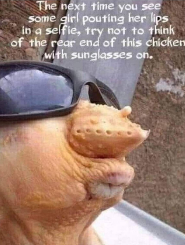 Screenshot_2023-05-24-13-14-11_kindlephoto-849925766