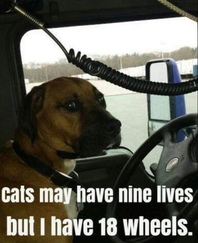 339873247_225341020156196_4826496591117060895_n