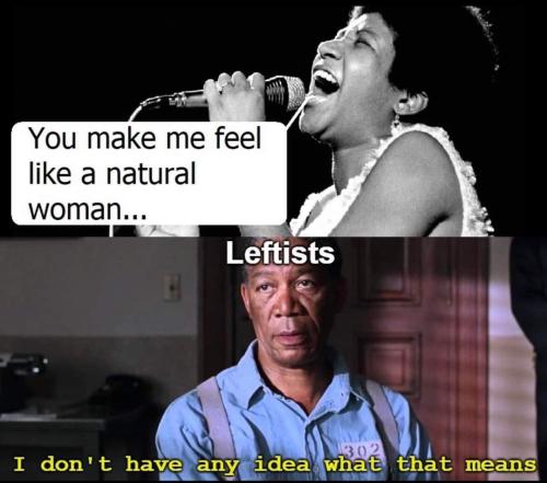 FB_IMG_1686240134718